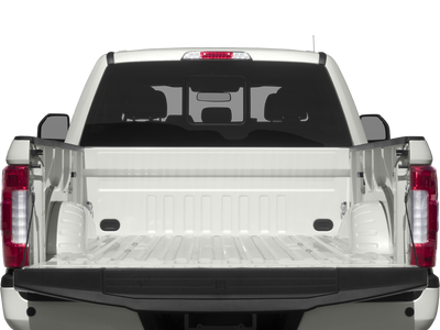 2017 Ford F-250 Platinum