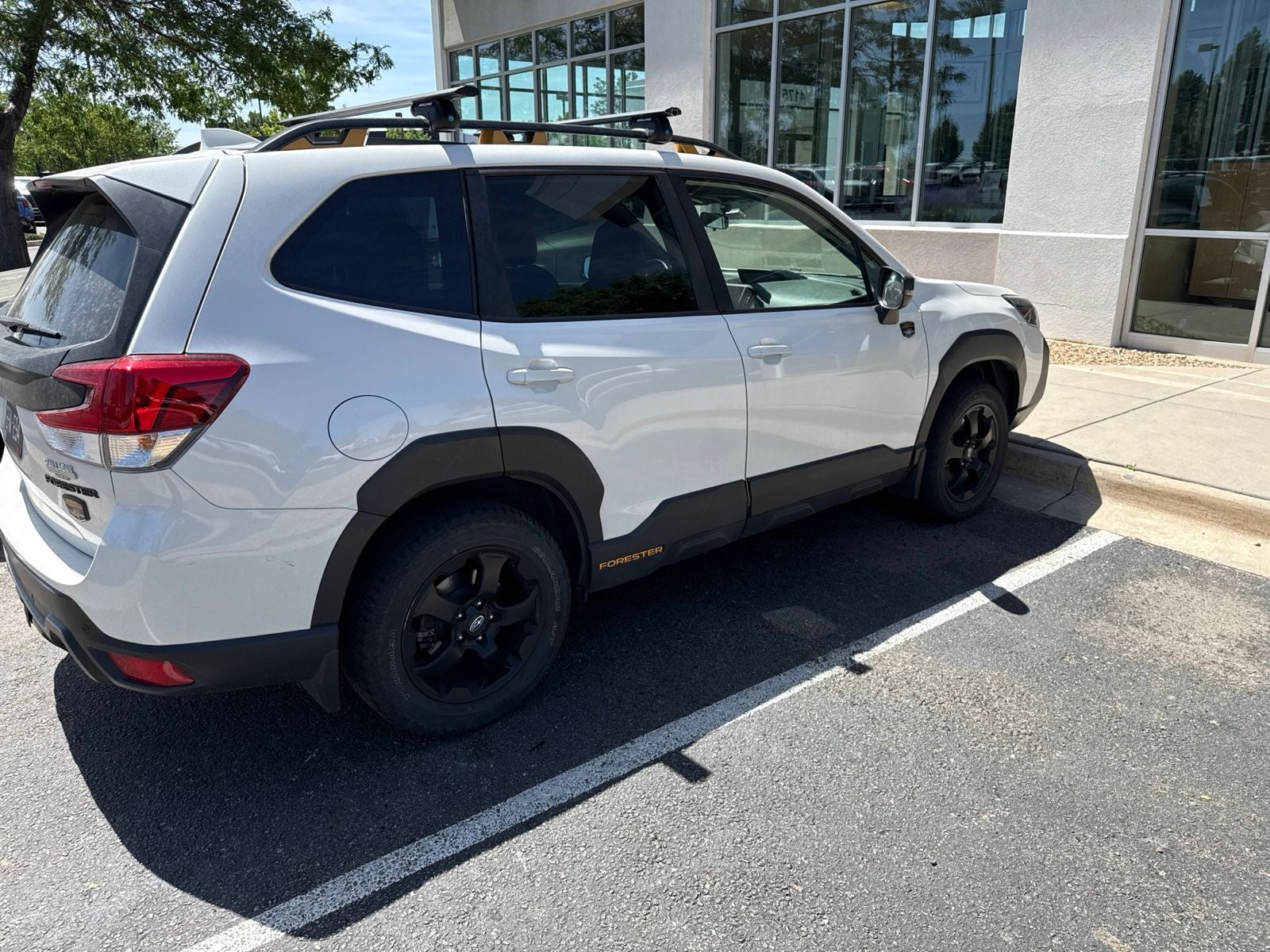 2023 Subaru Forester Wilderness