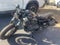 2015 Harley-Davidson Sportster Base